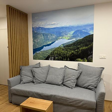 Apartma Tisa Bohinj-No Ouside Windows المظهر الخارجي الصورة