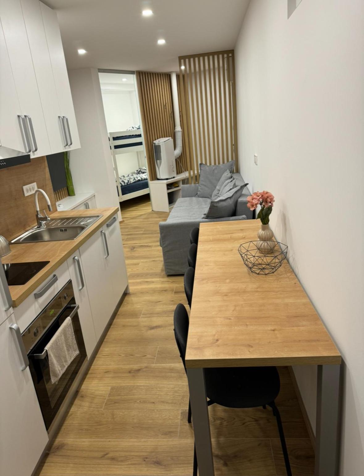 Apartma Tisa Bohinj-No Ouside Windows المظهر الخارجي الصورة